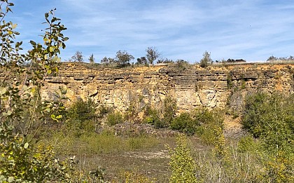 The Limestone Grasslands of Lorry Mardigny