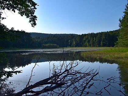 Étang de waldeck - réserve naturelle