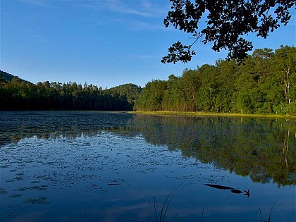 LIESCHBACH LAKE AND NATURE RESERVE