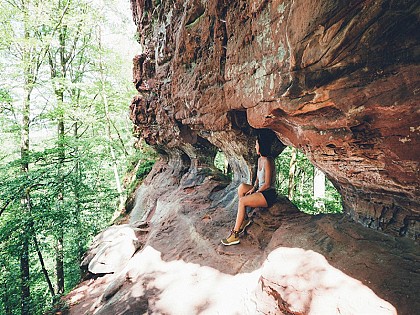 THE ERBSENFELS ROCK