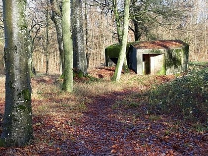 Point d'appui fortifié de Macheren