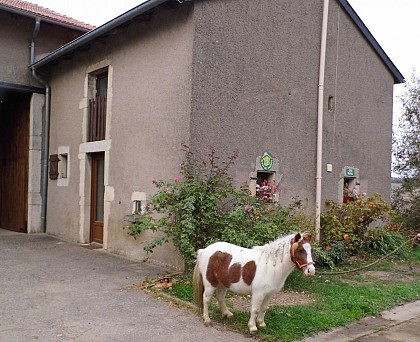 Gîte La Halte aux Hirondelles