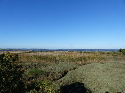 Ile de Malprat