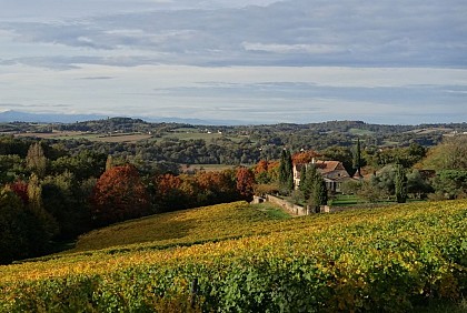 Domaine viticole du Château de Cabidos