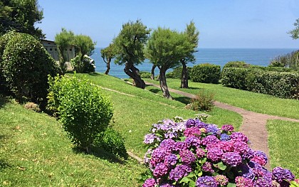 Agence Acotztarra - 652