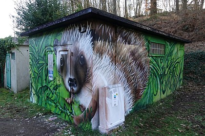 Les fresques réalisées par Ecloz