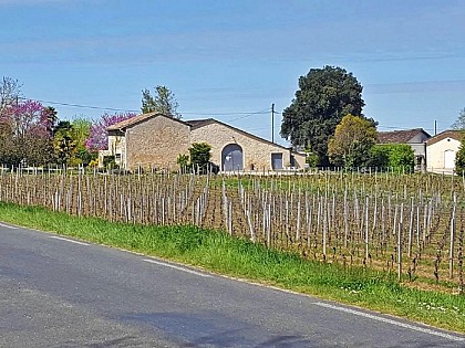 Château La Guillaumette