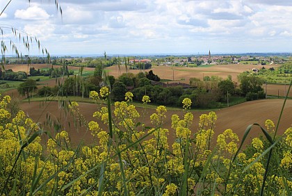 Point de vue Pépille