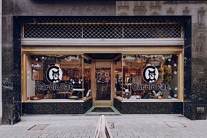 Carolo Cat