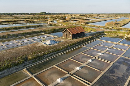 MARAIS SALANTS DE LA VIE