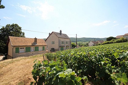 Gîte de l'Orbize