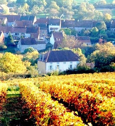 Meublé "Les Roches"