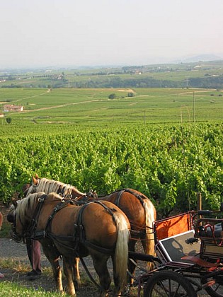 Château des Broyers
