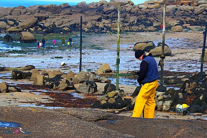 Port du Mazou Porspoder