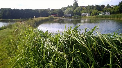 Camping Moulin de Collonge
