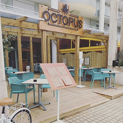 L'Octopus