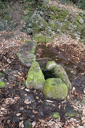 La Chateneide fontaine