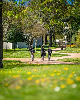 Parc Barbereau