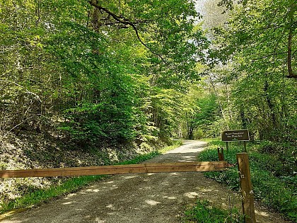 Forêt domaniale de Secondigny