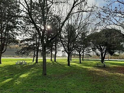 Aire de pique-nique d'Aiguillon D8 et D813