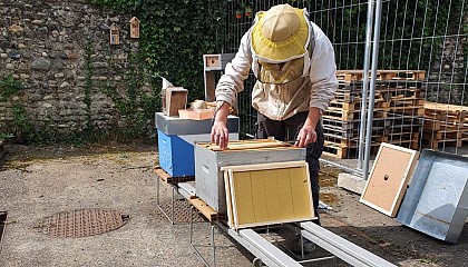 Le Rucher des Yolettes