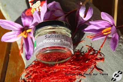 Safran Les Pieds sur Terre