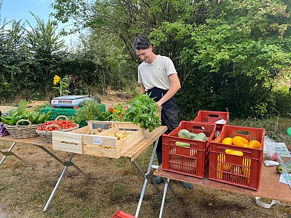 La Ferme d'Adeline et Benjamin - Seasonal vegetables