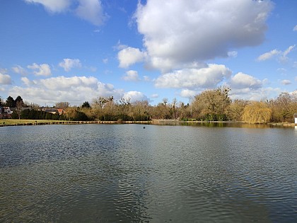 Le portrait - L’Etang du Tilleul