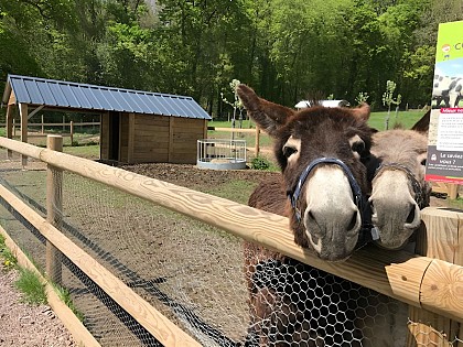 Le Verger de Roncheville et son parc animalier