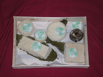 GAEC Plaine de Foumard