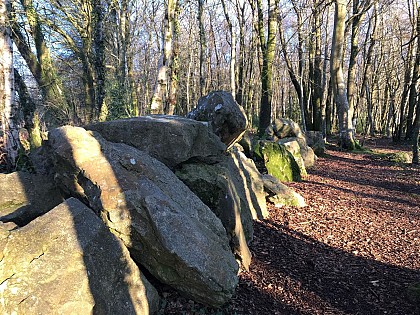 Allée couverte de la petite roche
