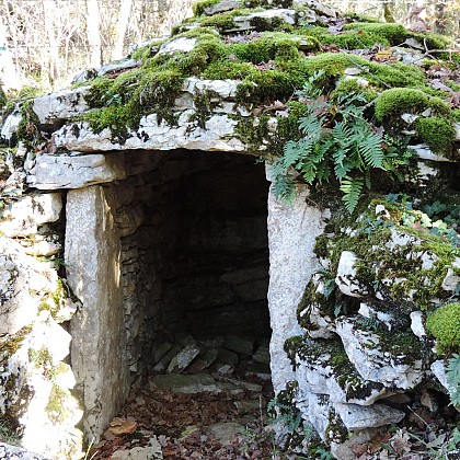 Caselle dans les bois de Foissac