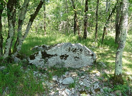 Dolmen n°1 des Places