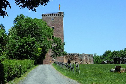 Château de Montaner