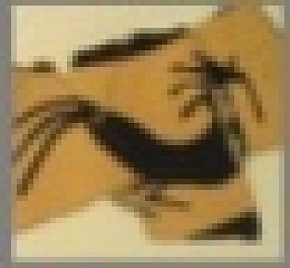 Le Musée archéologique du Pègue