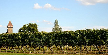 Église Romane Saint-Jean Baptiste