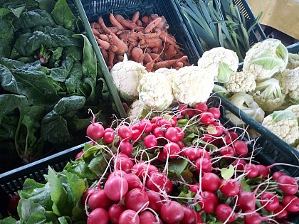 GAEC Le Jardin Maraîcher