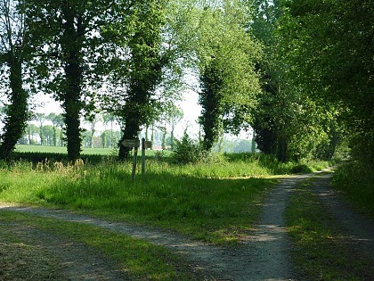 L'ancienne voie de chemin de fer