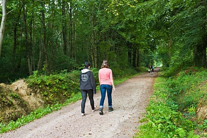 Le bois de l'Hérique