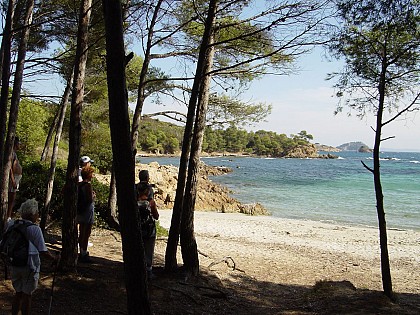 Crique du Cap de Léoube