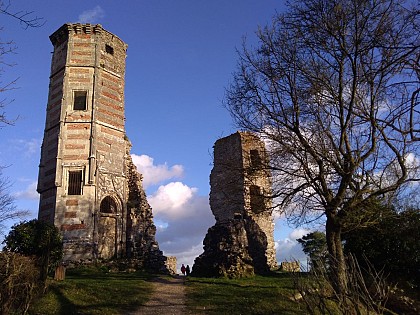 Tour Anne de Bretagne et ruines du château