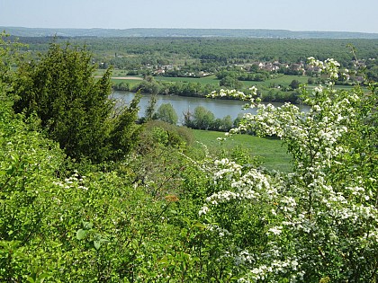 Point de vue sur la boucle de Moisson