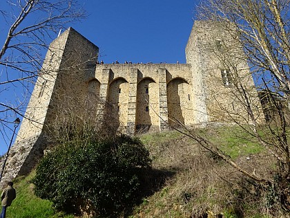 Château de la Madeleine
