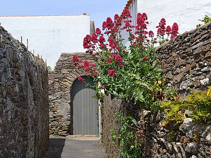 Ruelle des sept venelles