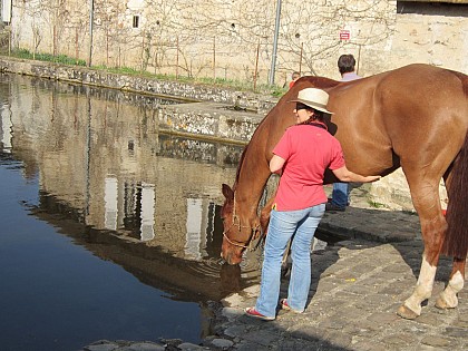 Abreuvoir de Rochefort
