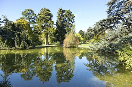 Jardin du Trocadéro
