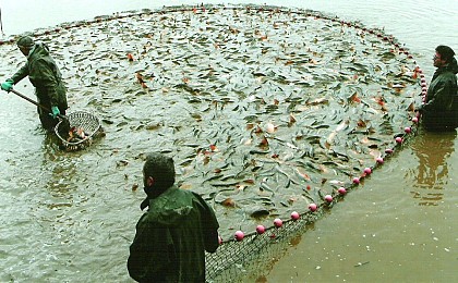 Etang du Grand Marais