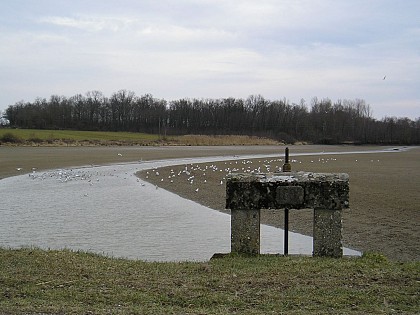 L'étang Quinson à Lapeyrouse