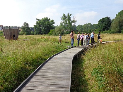 Le marais de Hosdent