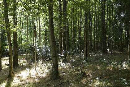 Fermeture des paysages